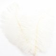 thumbnail image 1 of Ostrich Feather 30-35Cm Colorful Feather Decoration 97# White White Feather (1*Feather), 1 of 7