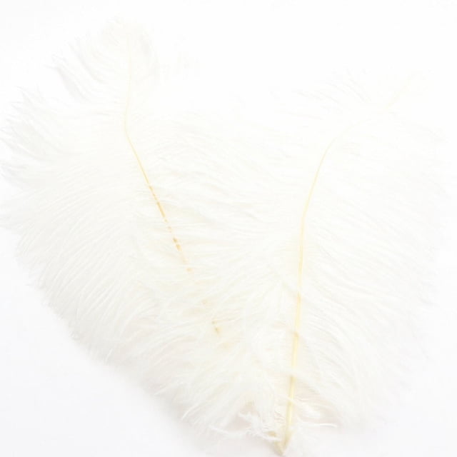 Ostrich Feather 30-35Cm Colorful Feather Decoration 97# White White Feather (1*Feather)