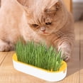 thumbnail image 4 of Cat Grass Planter, Hydroponic Planter, Hydroponic Grass Planter, Self Watering Cat Grass Planting Container Soilless Pots Window Planting Box Hydroponic Planter Nursery Planting Pots Growing Products, 4 of 6