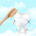 thumbnail image 4 of 8pcs Travel Bamboo Toothbrushes Eco Friendly Soft Bristle Oral Care Tooth Brush, 4 of 6