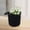 Black, variant on TIMIFIS Cotton String Storage Basket Wire Hanging Basket Kitchen Storage Basket Entrance Snack Basket Cosmetic Storage Box Hanging Cotton Rope Woven Storage Basket Home Storage Cotton Wire Basket