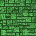 thumbnail image 1 of Ahgly Tapis d'Intérieur Lavable en Machine Carré Vert Émeraude Profond, 5 Pieds Carré, 1 of 7