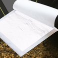 thumbnail image 3 of 10 Sheets Leaf Sheets Real Pictures Handmade Crafts, 3 of 8