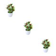 thumbnail image 4 of Ruiboury Add Touch Of Green To Living Space Artificial Plant Collection Home Decor Plastic Artificial Potted Plants False Plant Big Red Fruit 3Set, 4 of 6