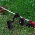 thumbnail image 4 of CIMAXIC Black Round Support Wheel 1Pcs 12In with Stability Enhancement for String Trimmer, 4 of 6