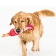 thumbnail image 2 of Jouet poulet de latex pour chien, 2 of 5