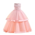 thumbnail image 1 of RXIRUCGD 2025 Summer Clothes for Kids Children's Sleeveless Round Neck Exquisite Three-dimensional Embroidered Flower Mesh Princess Cake Dress Dress Evening Dress Dress Dress, 1 of 8