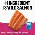 thumbnail image 4 of Beyond Grain Free Wild Salmon, Wet Cat Food 85g, 4 of 9
