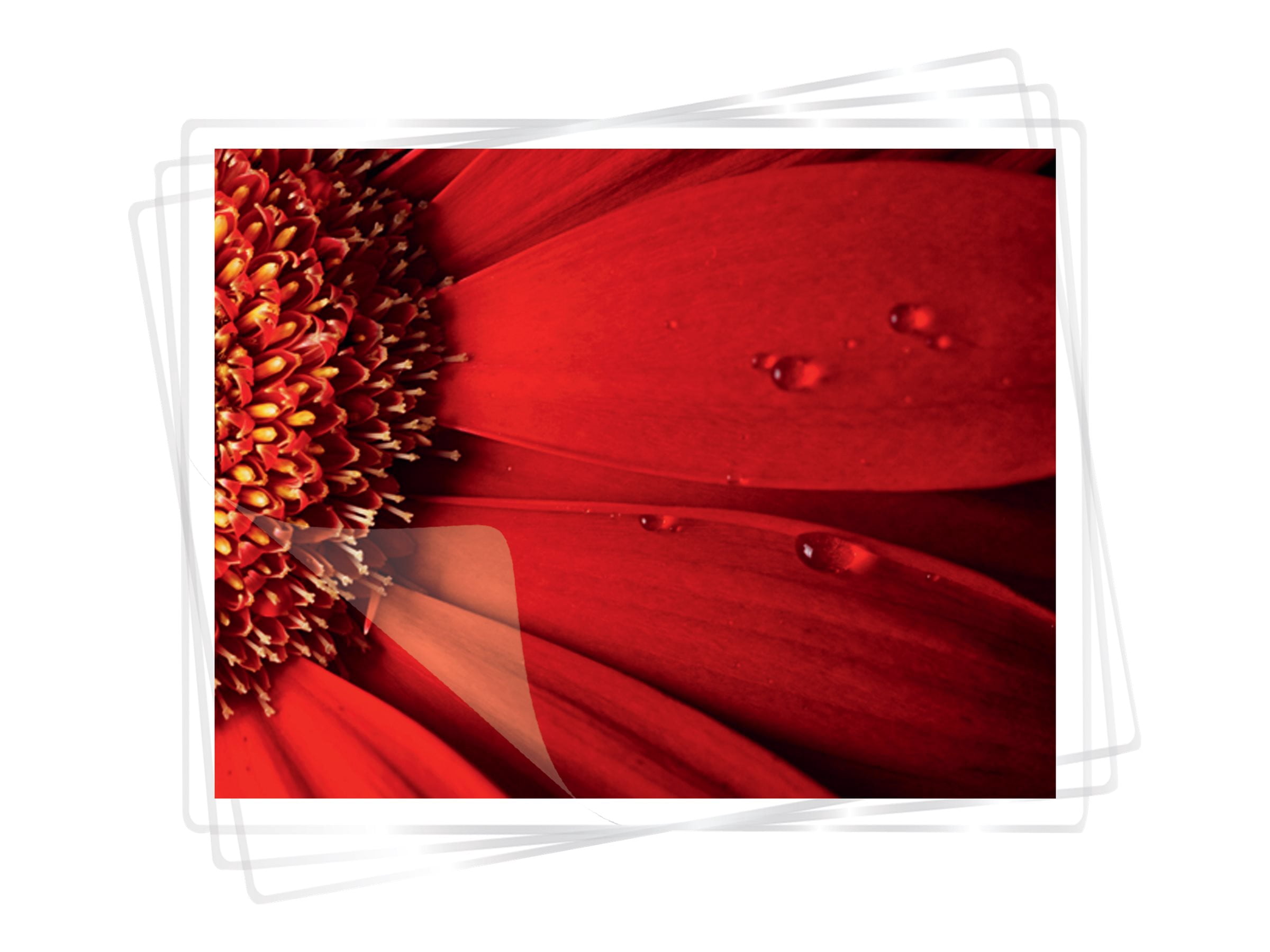 Pochettes de plastification Fellowes® Super Quick, format lettre, 5 mil, paquet de 100