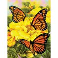 thumbnail image 1 of Royal & Langnickel(R) Small Paint By Number Kit 8.75"X11.75"-Majestic Monarchs - PJS-68, 1 of 4