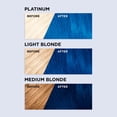 thumbnail image 3 of L'Oréal Paris Colorista Semi Permanente Hair Color, 3 of 7
