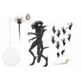 thumbnail image 2 of Alien Romulus Figurine Articulée de 7 Pouces Ultimate - Scorched Xenomorph, 2 of 2