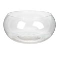 thumbnail image 1 of Miangastore Bol à Poisson en Verre Bol Rond en Verre Plante Terrarium de Bureau Bol à Poisson Transparent pour la Maison, 1 of 8