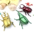 thumbnail image 4 of Jouet Modèle d'Insecte Chaîne Enroulée pour Enfants, Simulation de Coléoptère en Mouvement pour Jeu d'Observation Amusant et Éducatif, 4 of 6