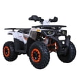 thumbnail image 1 of Tao Motor Raptor 200 Sport Adult ATV, Gas Power 169CC 4-Stroke Ride on Toys, Max Loading 330Lbs (Assembly Required), Orange, 1 of 1