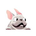 thumbnail image 1 of EGNMCR Wall Stickers, Cute Stickers Three-dimensional Simulation Dog Car Sticker Pet Dog Sticker Wate Waterproof sticker, 1 of 1