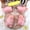 B #2, variant on Vaidha Stress Relief Pig Squishy Toy | Slow Rising & Squeezing Sensory Fidget | Soft PVC Anxiety Relief for Students & Teens | Cute Animal Design