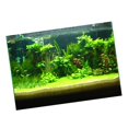 thumbnail image 4 of Milaget 3D Aquarium Universal Landscape Poster Single Sided Background , 122x61cm, 4 of 9