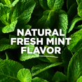 thumbnail image 2 of Tom's of Maine Fluoride-Free Rapid Relief Sensitive Toothpaste, Fresh Mint, 4 oz. 3-Pack, 2 of 4
