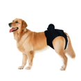 thumbnail image 2 of Pets Dogs Physiological Pants Sanitary Diaper Menstruation Underwear Briefs, 2 of 4