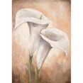 thumbnail image 1 of May Licensing PDXMLV450SMALL Calla Lilly II Affiche Imprimée par Lenna Lotus, 10 x 14 - Petit, 1 of 1