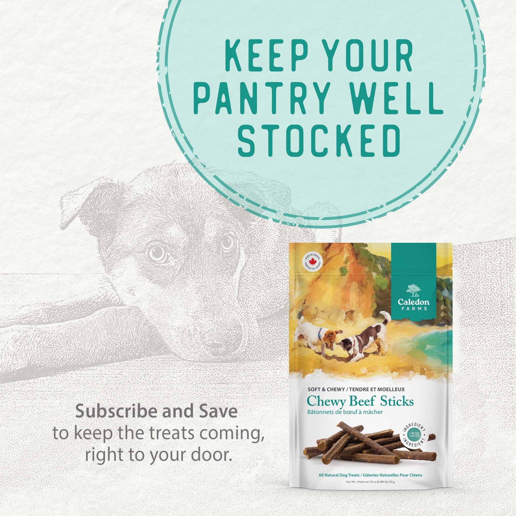 Caledon Farms Chewy Beef Sticks Baked Dog Treats 220g