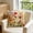 Multi-color#4, variant on MTBLYS 3D Floral Pillow Cover 18X18 Inch Square Cushion Case Home Sofa Decorative Soft Flannel Fabric Living Room Bedroom