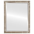 thumbnail image 1 of Pasadena Framed Mirror - Champagne Silver, 1 of 6