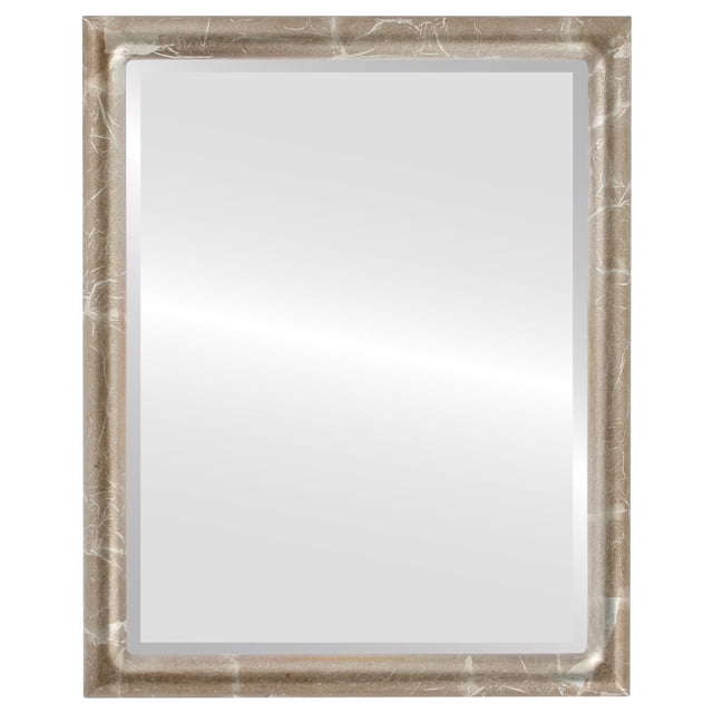 Pasadena Framed Mirror - Champagne Silver