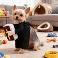 thumbnail image 5 of Tenue de Prêtre pour Animaux Tenue Mignonne pour Fête de Chiot et Séance Photo, 5 of 5