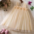thumbnail image 1 of LOVZFMLL Girls' Summer Sleeveless Ruffled Lace Round-Neck Embroidery Mesh Princess Bow Skirt, 1 of 4