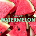 thumbnail image 2 of Tree Hut Foaming Gel Wash, Watermelon, 18 fl oz, 2 of 4