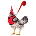 thumbnail image 2 of Chicken Leash Pet Chicken Leash Pet Leash, 2 of 4