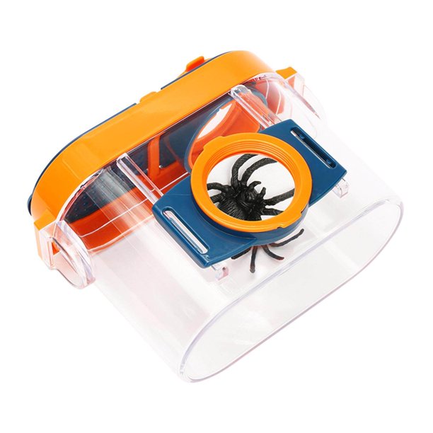 Kit d'observation d'insectes pour enfants, jouets d'extérieur pour