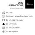 thumbnail image 2 of Korhani Delicate Light Area Rug - DISTRESS, 2 of 3