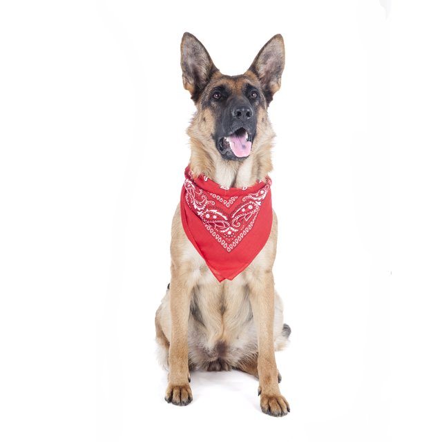 Balec Bandana en Polyester Paisley pour Animaux de Compagnie 6 Pack Forme Triangle - Surdimensionné