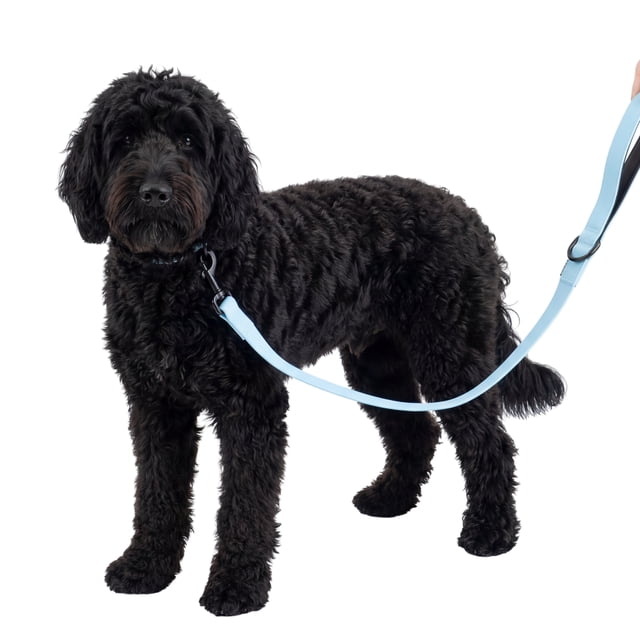 One Paw Silicone Dog Leash with Wavy Lines Pattern and Padded Handle in light blue attached to a black curly-coated dog, featuring a padded neoprene handle, durable silicone material, carabiner metal snap hook, and 6-foot length for secure and comfortable dog walking.