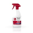 thumbnail image 1 of Hoover Oxy Stain Remover 22oz, 1 of 1