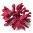 thumbnail image 1 of Ensemble de 2 Branches Corail 3D Moyennes, 1 of 1
