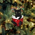 thumbnail image 4 of BKER Christmas Acrylic Christmas Stockings For Cats Decorations Christmas Tree Decorations Crafts Hanging Decorations, 4 of 4