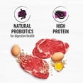 thumbnail image 4 of Beyond Simply Farm-Raised Beef, Barley & Free Run Egg Recipe, Dry Dog Food, 4 of 9
