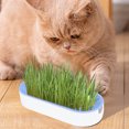 thumbnail image 4 of Cat Grass Planter, Hydroponic Planter, Hydroponic Grass Planter, Self Watering Cat Grass Planting Container Soilless Pots Window Planting Box Hydroponic Planter Nursery Planting Pots Growing Products, 4 of 6