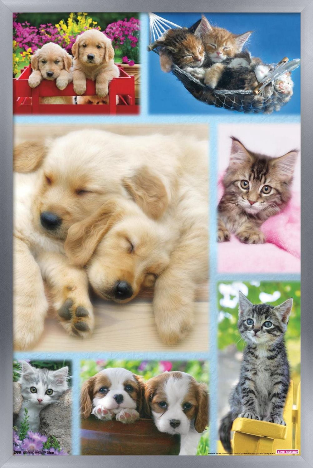 Keith Kimberlin - Puppies and Kittens Collage Wall Poster