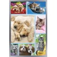 thumbnail image 1 of Keith Kimberlin - Collage de chiots et de chatons, 1 of 4