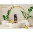 thumbnail image 2 of KRIAA Goodness Sweet Orange Tree Essential Oil 10ml with Dropper, 2 of 6