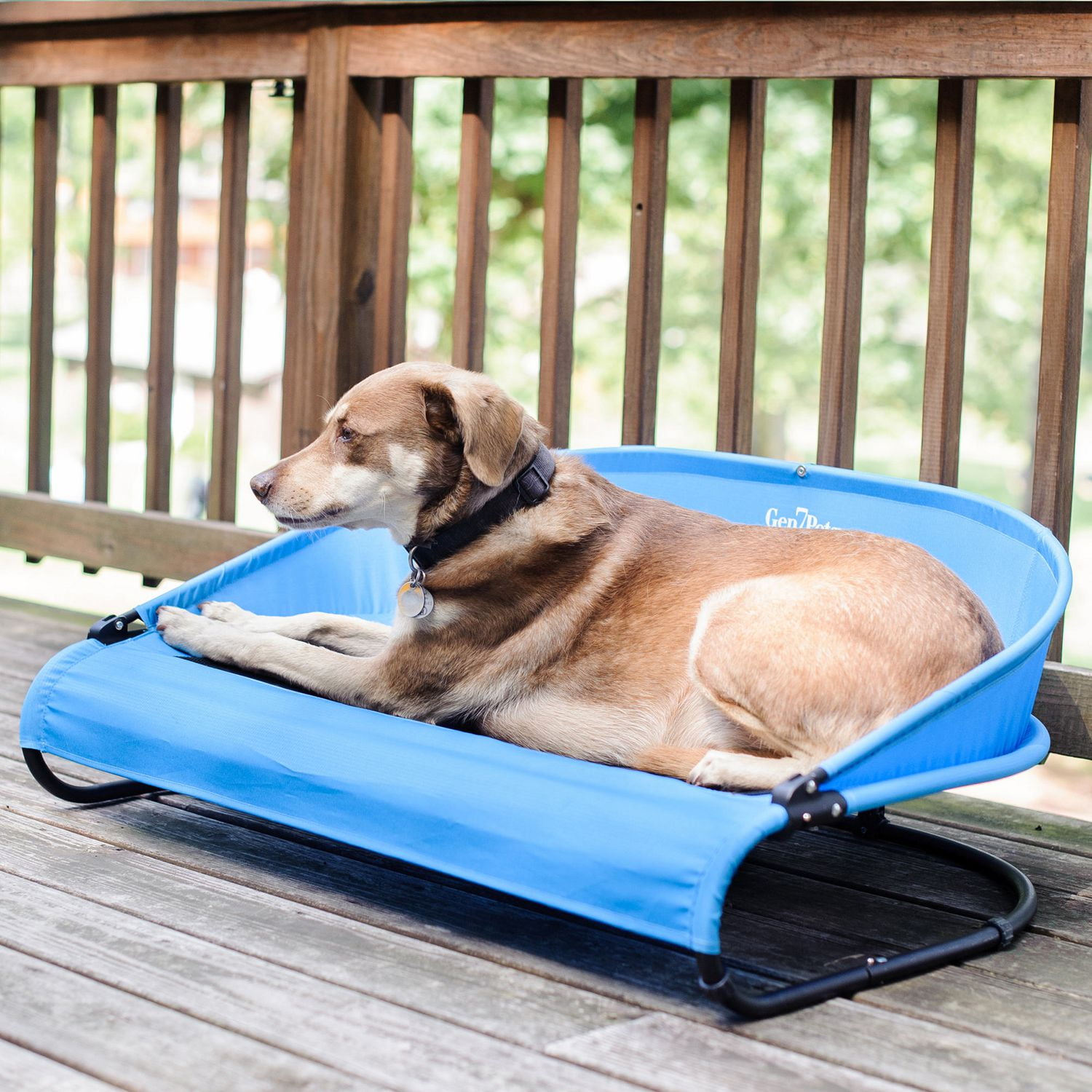 Lit pour animal domestique Cool-Air Cot de Gen7Pets, 76 cm (30 po)