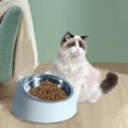 thumbnail image 5 of Bol pour Chat et Chien 15 Degrés Surélevé Antidérapant Cou Incliné Surélevé Acier Inoxydable Blanc, 5 of 5