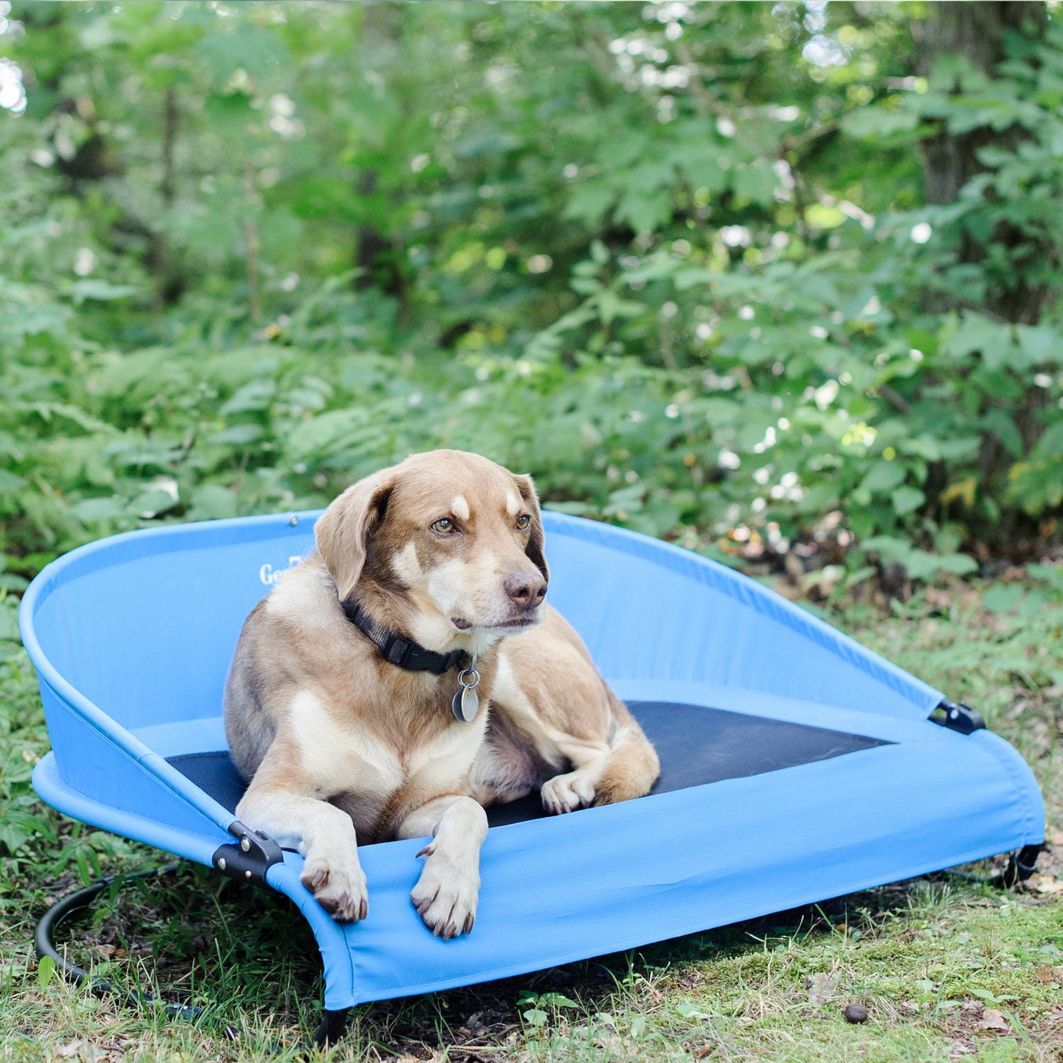 Lit pour animal domestique Cool-Air Cot de Gen7Pets, 76 cm (30 po)