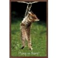 thumbnail image 1 of Célèbre chaton accroché là-bas Poster, 1 of 5