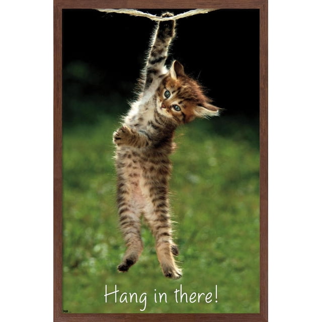 Famous Kitten Affiche Murale « Hang In There » Mettant en Vedette un Chaton Brun Tigré aux Yeux Bleus Suspendus d'Une Patte sur une Corde Épaisse contre un Fond Vert Flou, Encadrée en Acajou. l'Affiche Brillante 22,375 Pouces x 34 Pouces Comprend le Texte « Hang In There! » et Est Idéale pour Décorer des Chambres, des Bureaux Ou des Dortoirs.